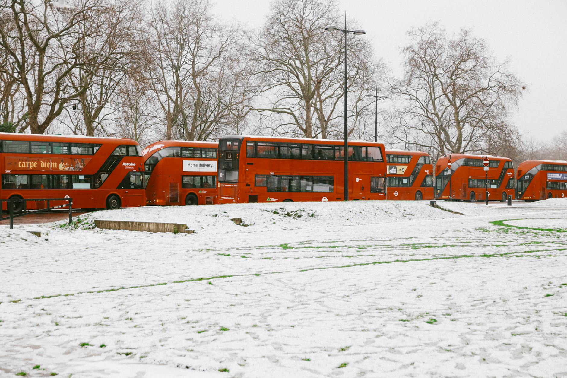 IT Migration for Transportation Companies in the Hyde Park Area